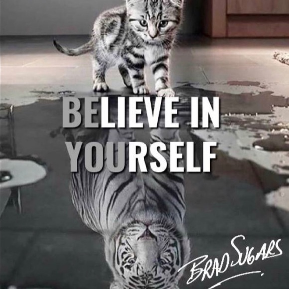 Meet your Posher, Kim - Picture 7 of 7